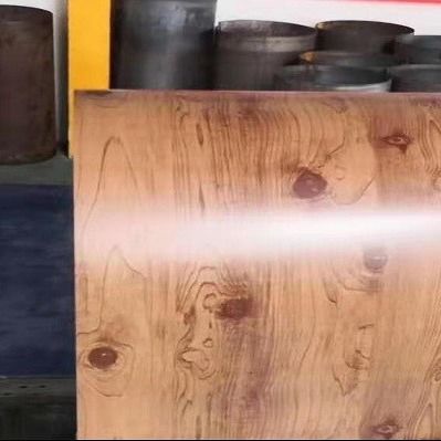 Διακόσμηση 1000mm προβερνικωμένη γαλβανισμένη σπείρα CGLCH χάλυβα