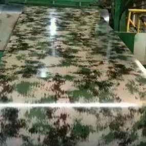 Ντυμένα φύλλα 800mm χρώματος εκτύπωσης PPGI διακοσμήσεων CGCH